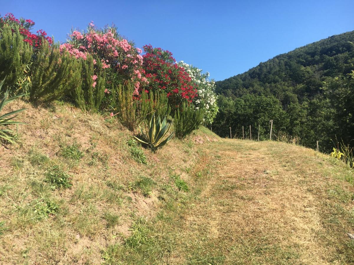 Cinque Terre, Tuscany, Liguria, Lerici #5 Exterior foto